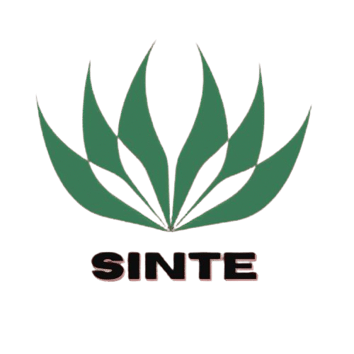 Logo sinte