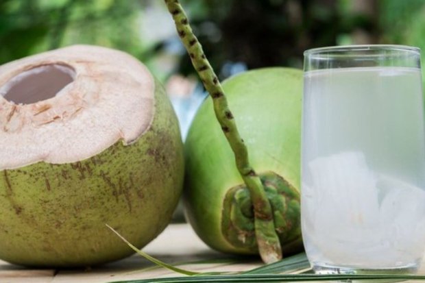 Kandungan Air Kelapa