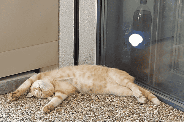 Tidur Sebagai Bentuk Kepercayaan