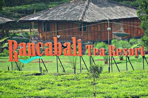 Harga Tiket Masuk Kebun Teh Rancabali