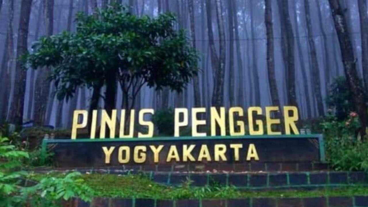 Pesona Wisata Alam Pinus Pengger, di Bantul Yogyakarta