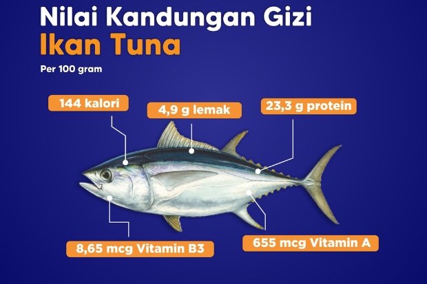 kandungan gizi ikan tuna