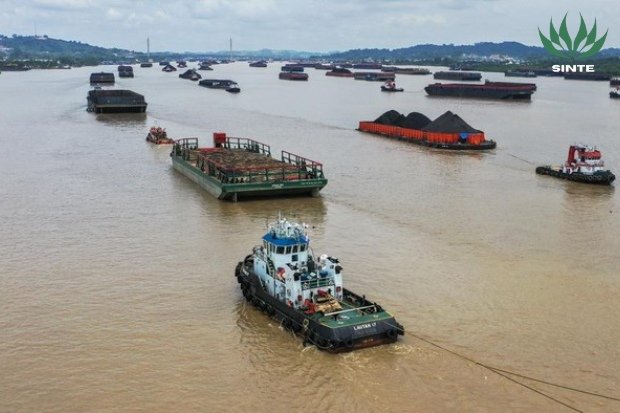 Ancaman pesut mahakam