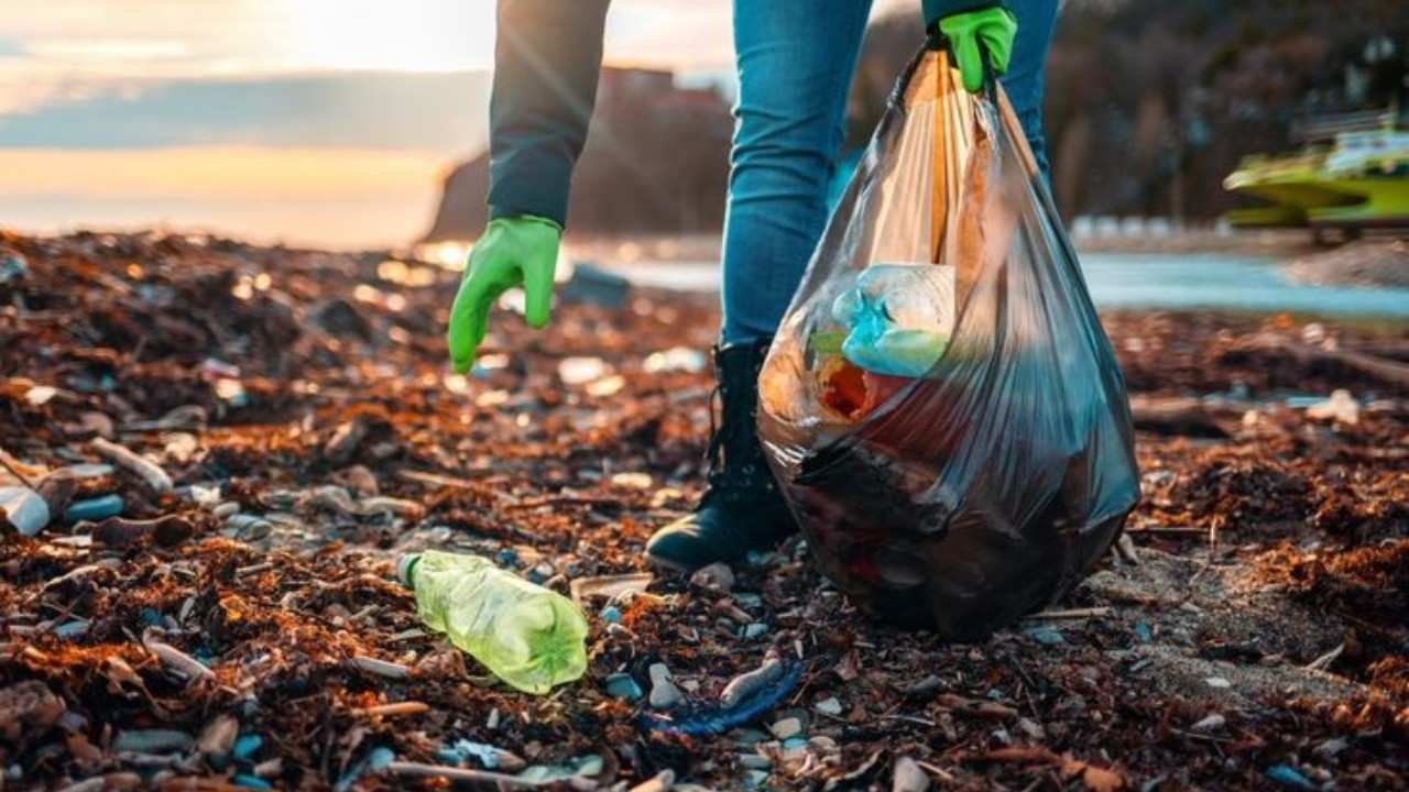 dampak sampah terhadap lingkungan dan kesehatan