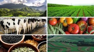 Sumber Daya Alam Pengertian dan Jenis-jenis yang Lengkap