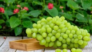 Anggur Hijau Muscat, Buah Segar yang Banyak Disukai