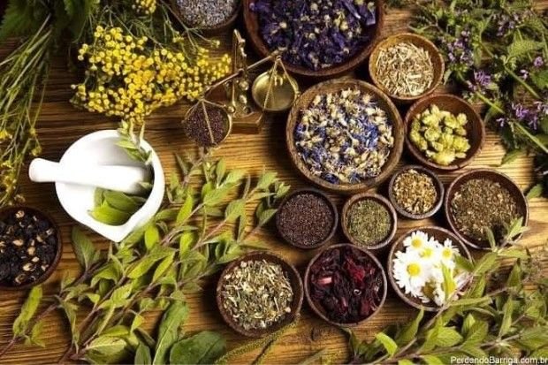 Bahan obat herbal tradisional seperti jahe, kunyit, dan temulawak kembali populer di masyarakat.