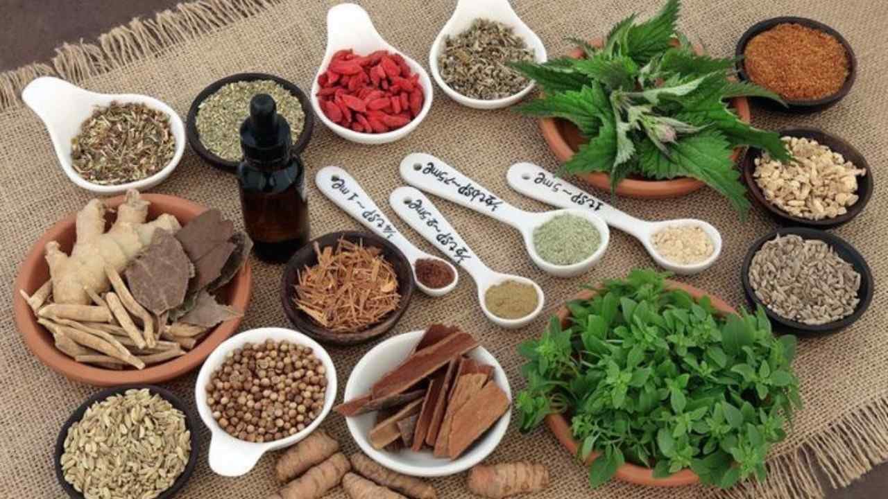 Obat herbal semakin populer di kalangan masyarakat modern karena gaya hidup sehat dan penggunaan bahan alami.