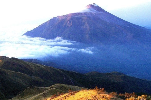 Keindahan alam Gunung Lawu dengan hutan hijau dan panorama pegunungan