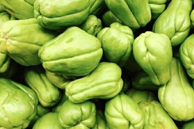 Manfaat labu siam untuk kesehatan tubuh
