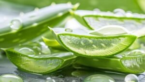 Manfaat Lidah Buaya untuk Kesehatan yang Perlu Kamu Ketahui