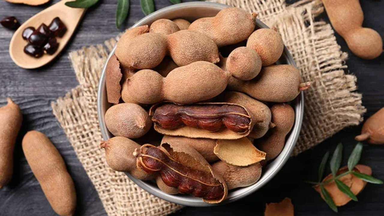 Asam jawa dengan rasa masam khas dan manfaat untuk tubuh