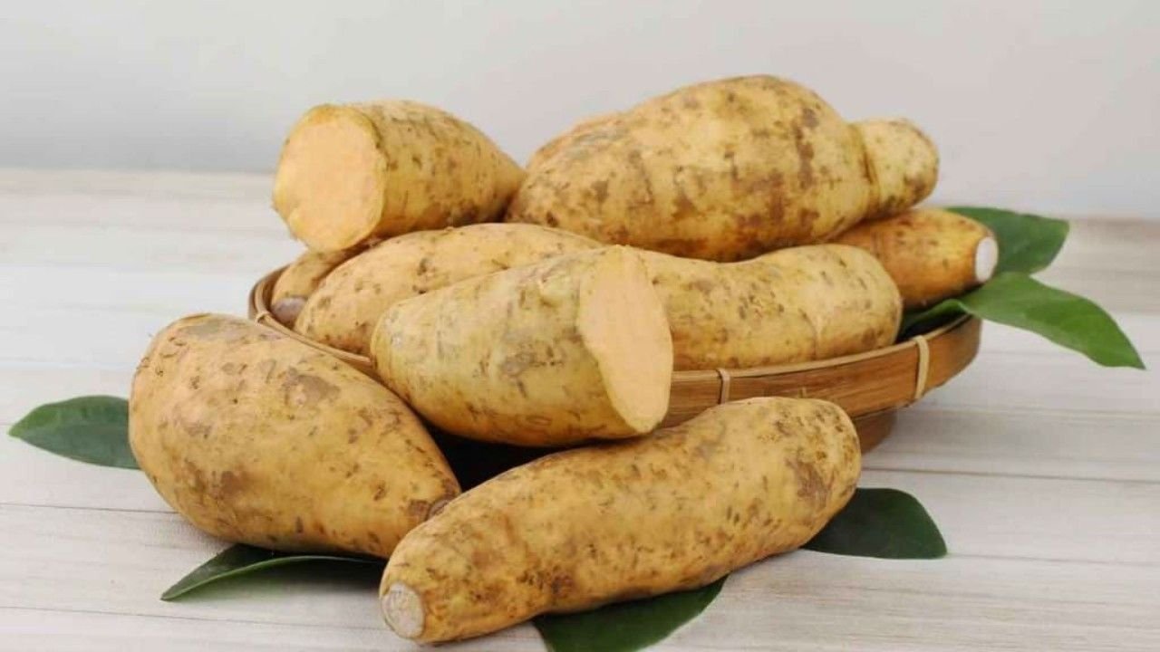Kalori ubi Cilembu dan kandungan nutrisinya
