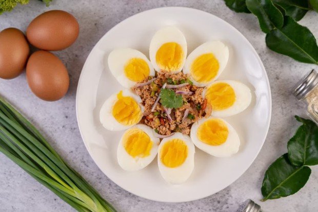 Kandungan protein pada telur