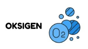 Oksigen Adalah Gas Penting yang Mendukung Kehidupan