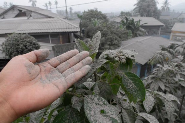 Dampak abu vulkanik terhadap sistem pernapasan