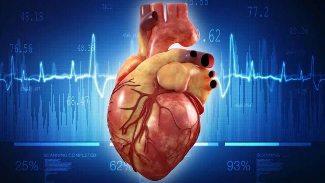 Fungsi jantung dalam memompa darah dan menjaga kesehatan tubuh