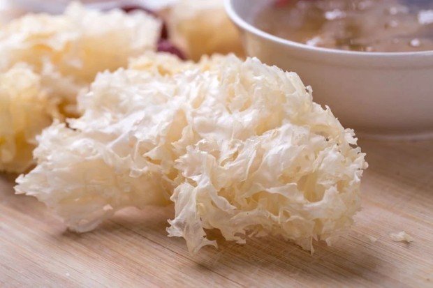 Kandungan nutrisi dan senyawa dalam jamur salju