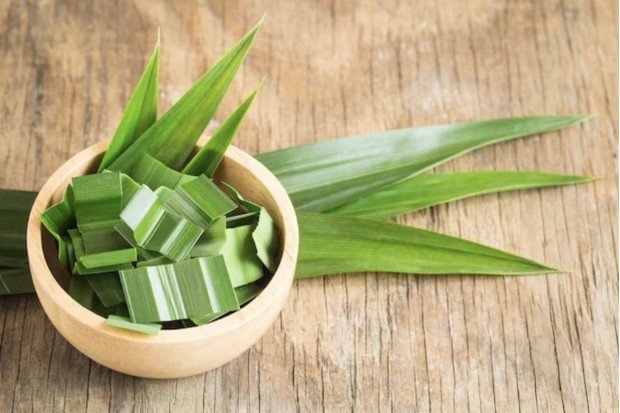 Manfaat daun pandan untuk memberikan aroma harum pada makanan