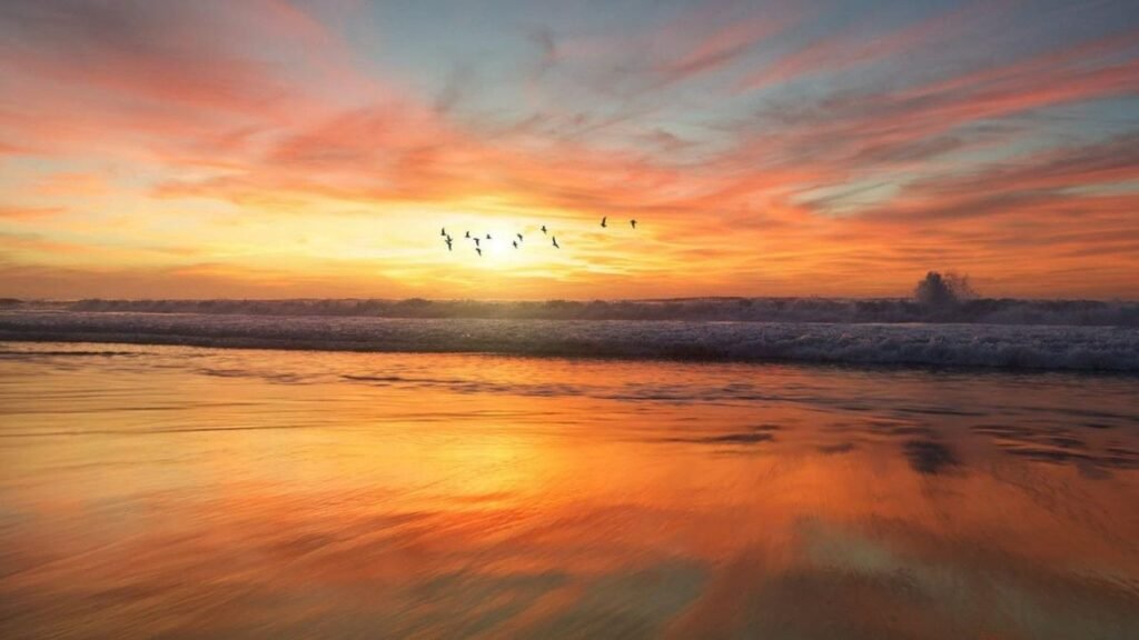Sunset adalah momen saat langit berubah warna menjelang sore