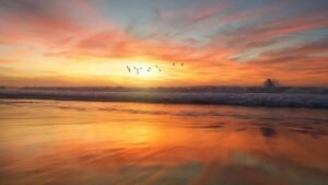 Sunset Adalah Momen Indah Saat Matahari Terbenam