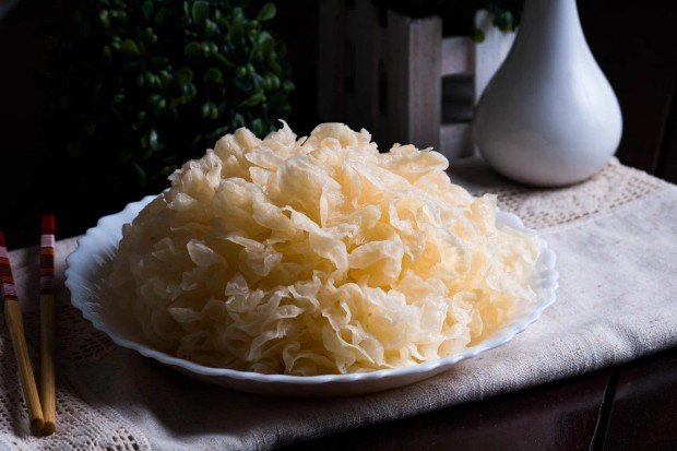 Tips memilih dan menyimpan jamur salju dengan tepat
